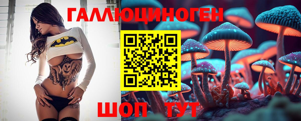 Печора  Галлюциногенные грибы Psilocybe  Вход с VPN 